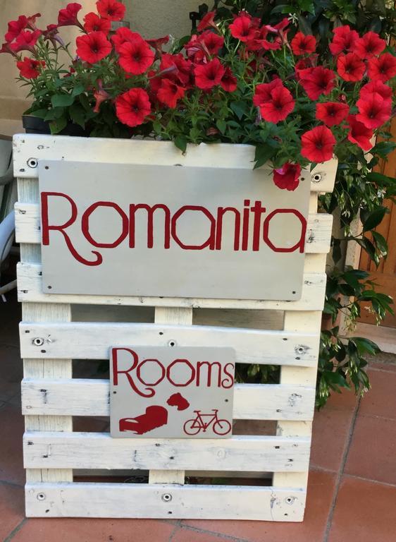 Camere E Appartamenti Baldini Romanita Radda in Chianti Exterior photo