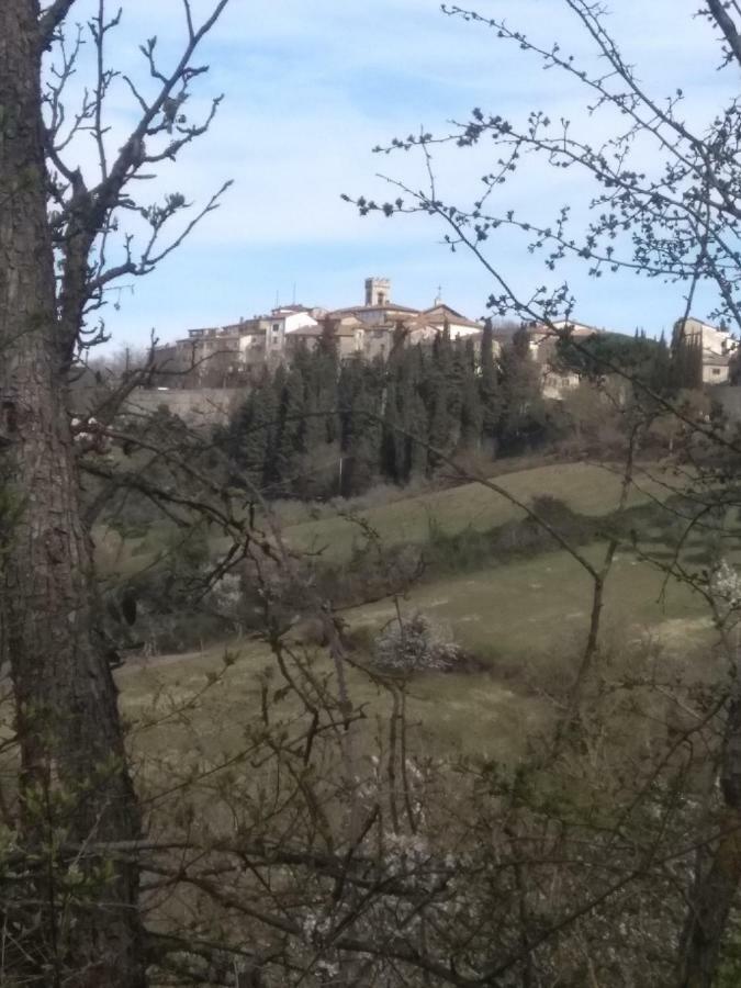 Camere E Appartamenti Baldini Romanita Radda in Chianti Exterior photo