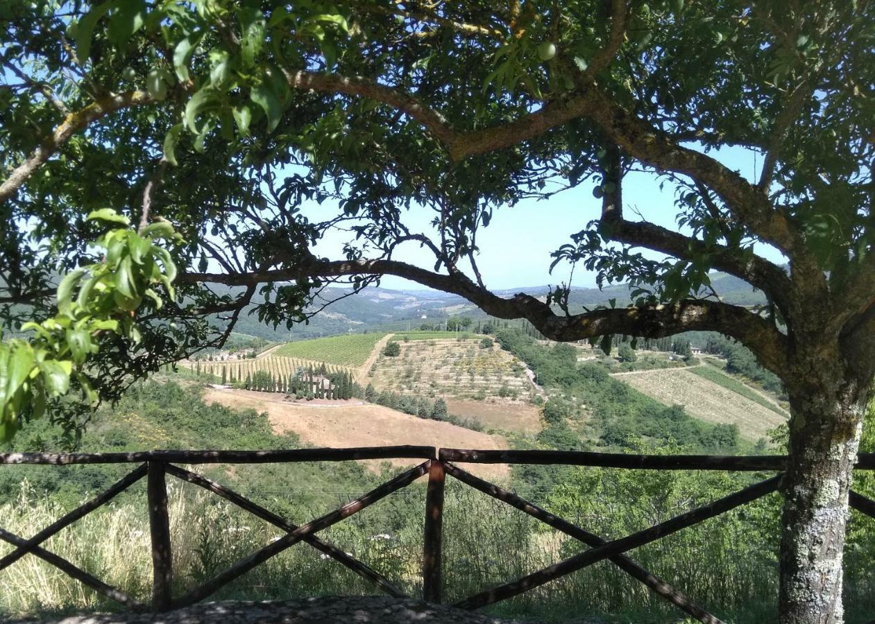 Camere E Appartamenti Baldini Romanita Radda in Chianti Exterior photo